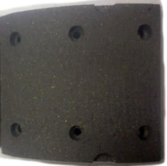 BL1007